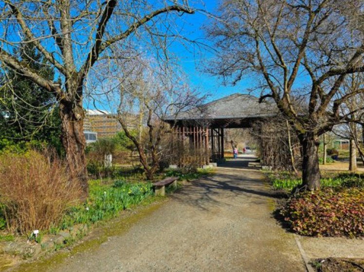 Johannes Gutenberg University Mainz Botanical Garden, Mainz, Germany, Germany